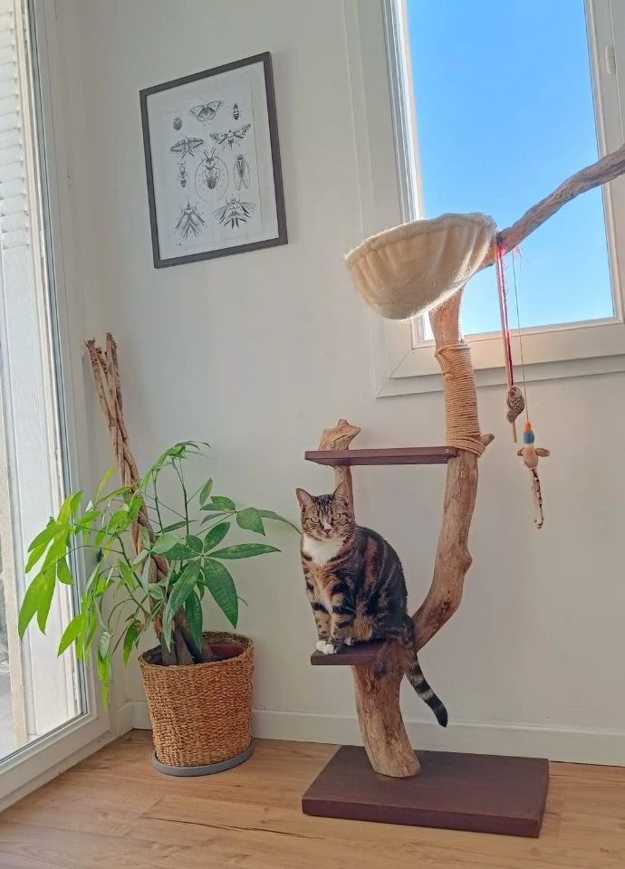 Arbre à chat sur mesure